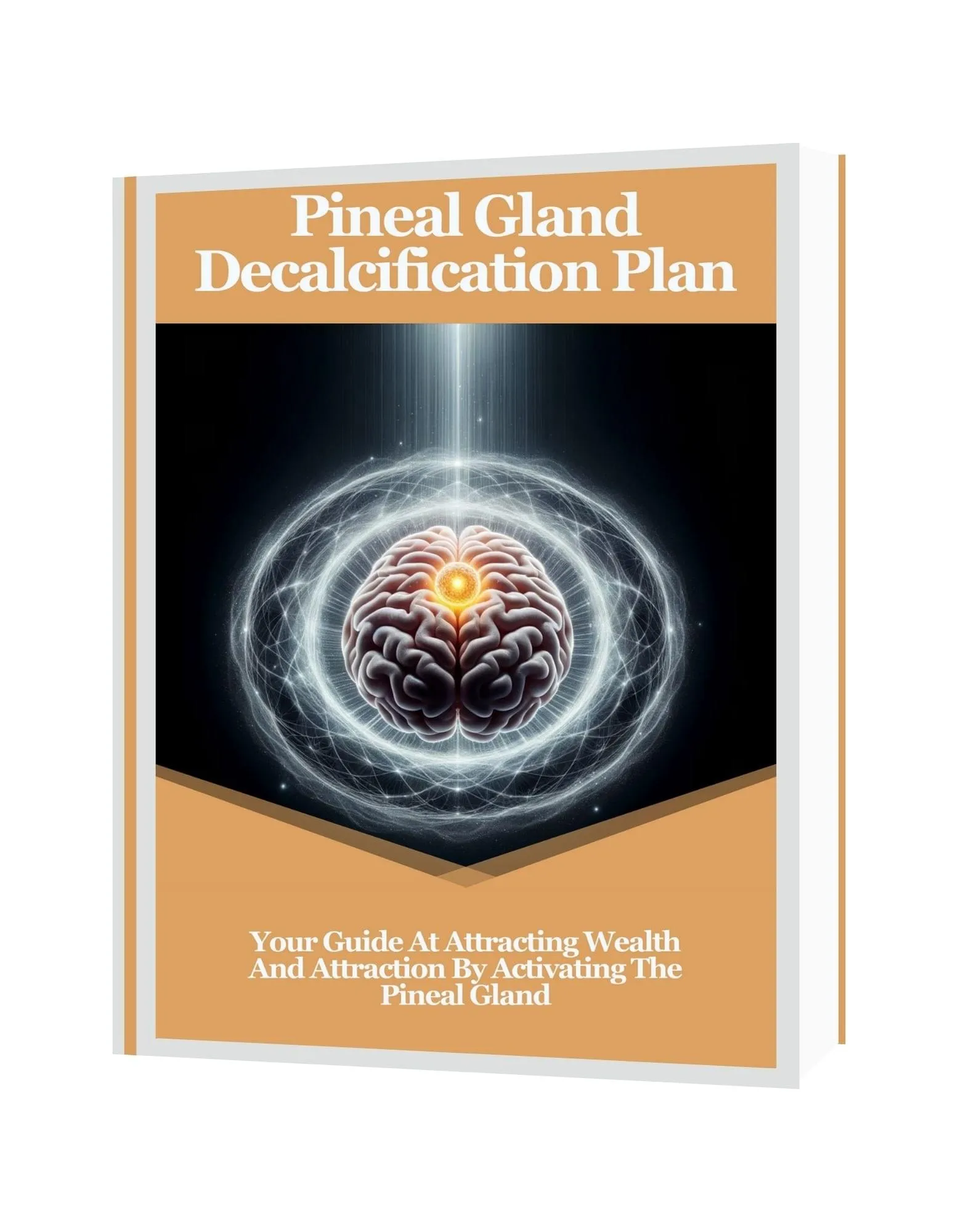 Free Bonus #2:“Enhance manifestation and spiritual growth with bonus resources from The Last Wish”